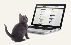 yp-cat